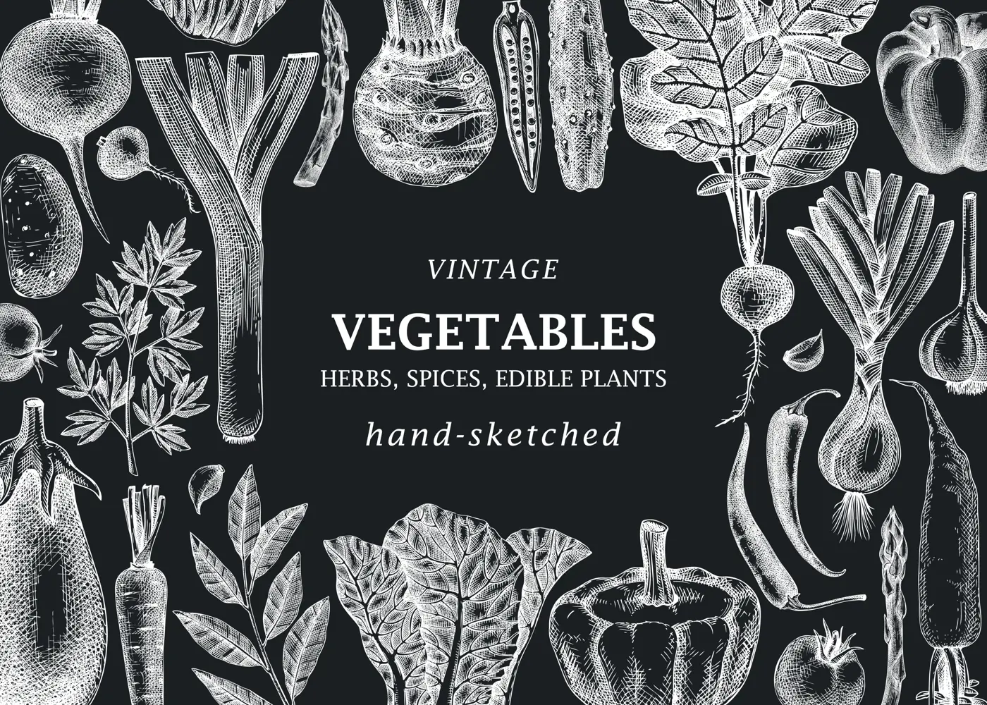 Hand-sketched Vegetable frame on chalkboard. Hand-drawn tomatoes, squashes, peppers, potatoes, asparagus and other vegetables drawings. Healthy food background for menu, recipe, restaurant, packaging Illustration